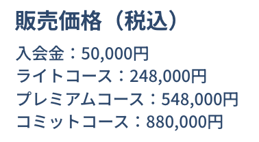 SnsClub 評判