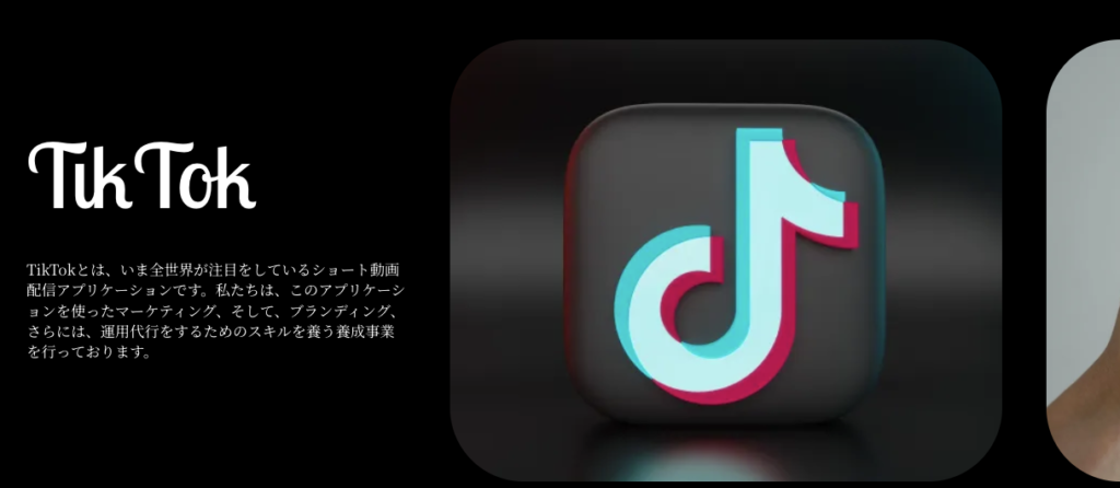 ろじん TikTok学園 評判 やばい 怪しい 詐欺